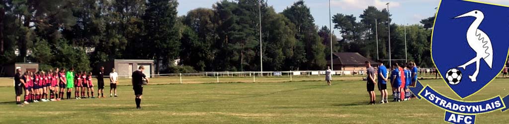 The Welfare Ground